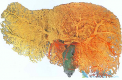 ��֢ͳ��������ʾ�ΰ���������������