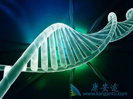 良性肿瘤;恶性肿瘤 良性肿瘤;恶性肿瘤