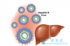 ���β������Ҹβ�����ʲô�����ҸεĴ���;������