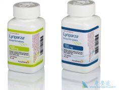 ��������/Olaparib�����������ٰ����ѳ���