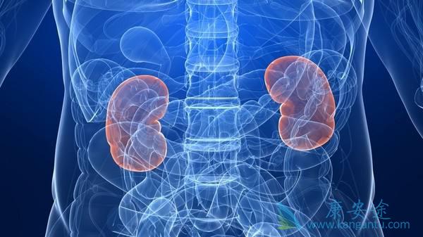 ����ת��