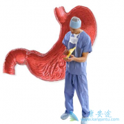 ����ҩ��ĳ��ֿ��Կ���������չ