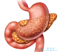 ���ٰ����Ƶ�ϣ�������