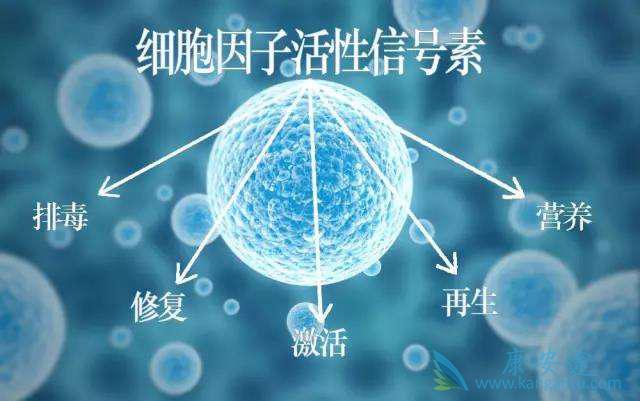 ϸ�����ӷ籩