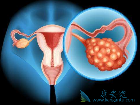 �ѳ�������;�ѳ���