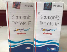 2019��ӡ�ȶ༪���۸��Ծ�����