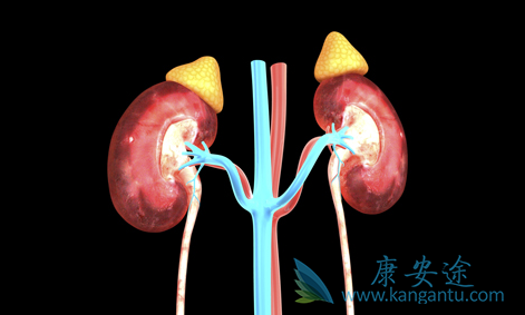 多吉美;索坦 多吉美;索坦