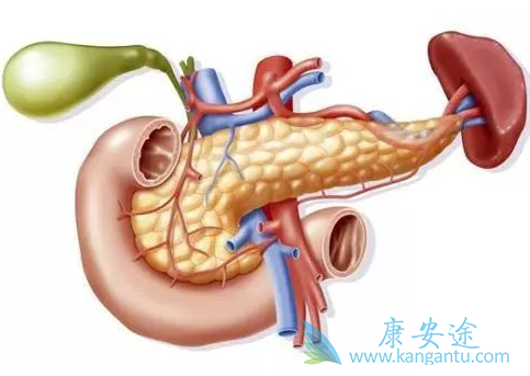 胰腺癌;肿瘤 胰腺癌;肿瘤