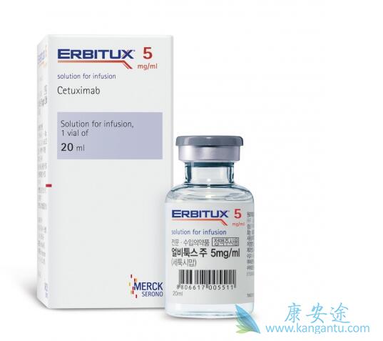 ����������˵����