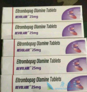 ��ͬ�汾��������(REVOLADE)�۸����