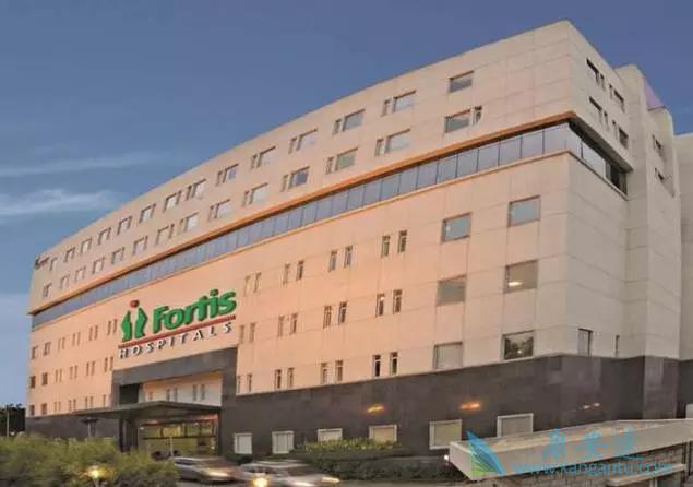 ӡ��ҽ������