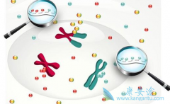 ��֢�ı�����ʲô���ΰ�EGFRһ����������ҩ�����ѡ��