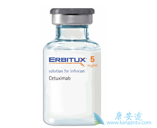 西妥昔单抗 西妥昔单抗