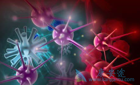 ���ٰ�;����