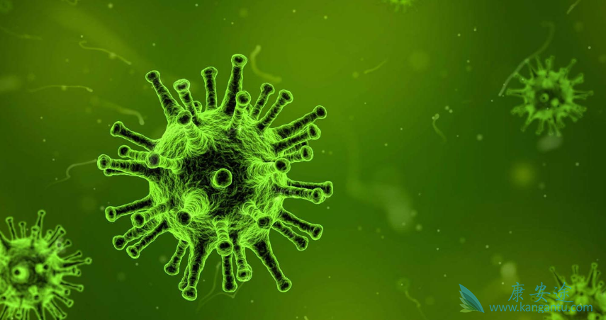 肿瘤;肿瘤转移 肿瘤;肿瘤转移