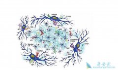 ϸ�����ӷ籩��ָ��ʲô��˼��ϸ���������ļ������