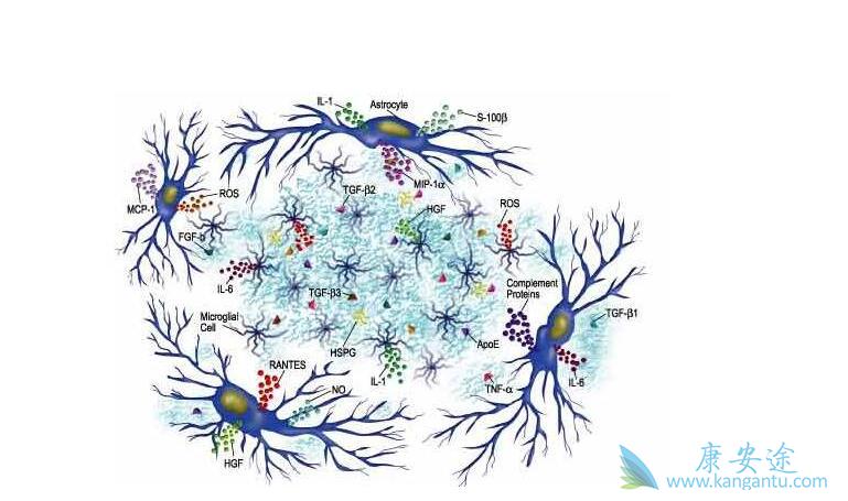 ϸ������