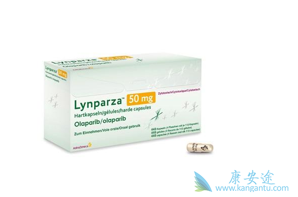 ��������Ƭ