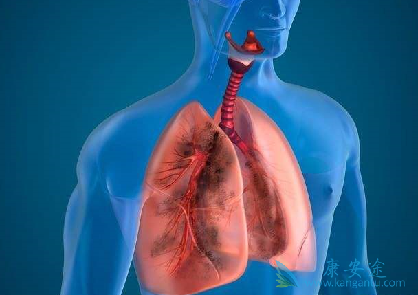 肺癌egfr靶点 肺癌egfr靶点