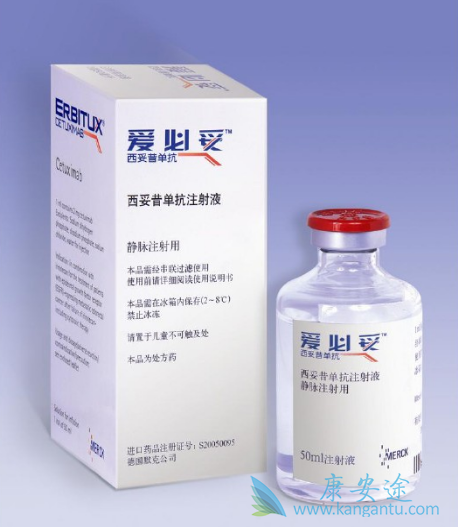 ������˵����