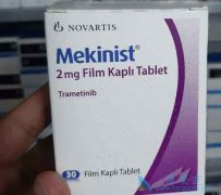 ����������(MEKINIST)������ʲô������