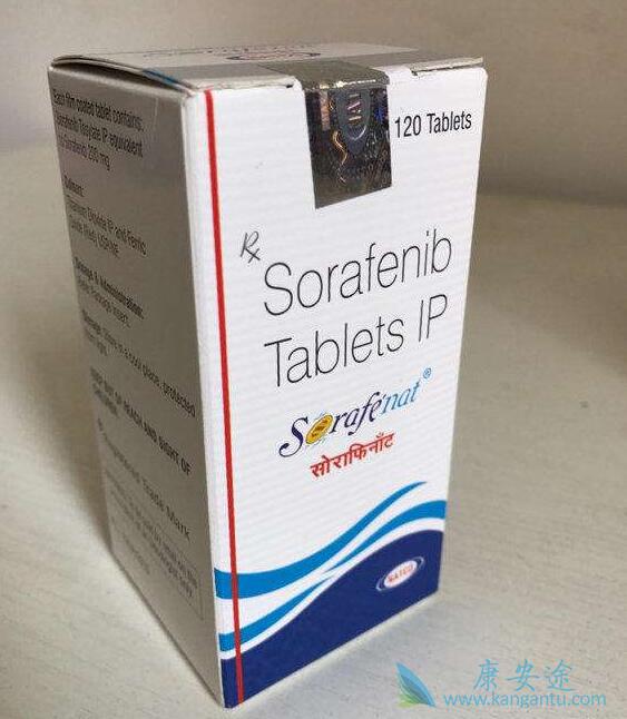 ��������˵����