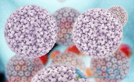 丙肝抗体 丙肝抗体