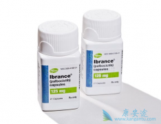 Palbociclib/���������4���ص�