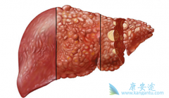 ����������ڷ���ԭ���Ըΰ���һ����������