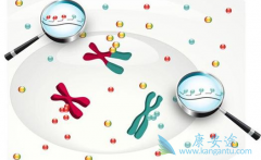 ����ҩ���ʺ����еĻ��������ٰ���Ů�Ը߷���֢��