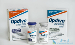 ���䵥��/Nivolumab���ڷ�Сϸ���ΰ�������ô����