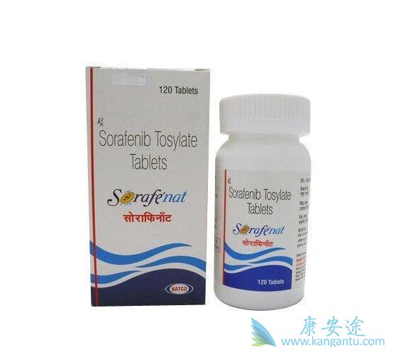 �༪��˵��