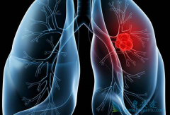 ת���Էΰ����ð�ϣ����������