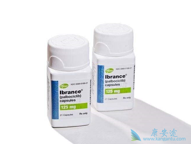 哌柏西利 哌柏西利