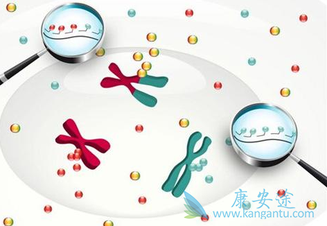 靶向治疗 靶向治疗