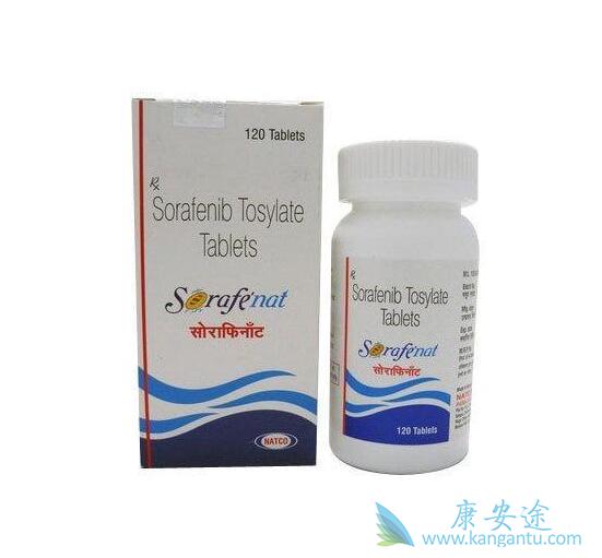 ��������Ƭ