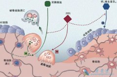 ˫����εĳɷݿ���������������еĲ�����