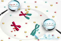 �������ƱȰ������Ƶ��������ģ��ַ�������Ч��