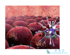 �����Ը���ʹ�ÿ��������Ƶ�Ч����Σ�