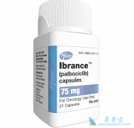 ��������/palbociclib�������ٰ���������ʲô��