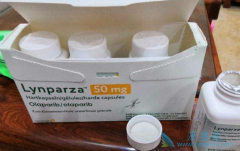 ��������(Olaparib)������������