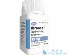 ���ڼ׻�����������Ƭ/Gleevec���˽�����