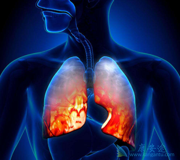 �ΰ�����