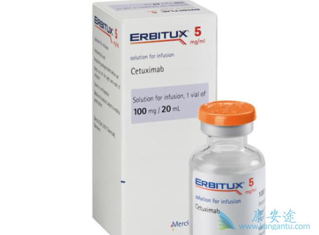 西妥昔单抗 西妥昔单抗