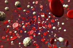 Ƥ�ʼ��ؿ��Խ���ϸ�����ӷ籩��