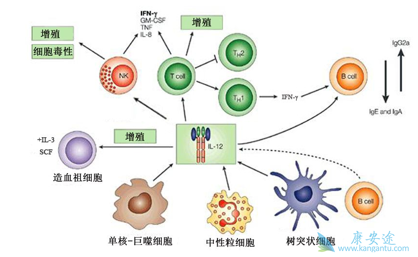 ϸ�����ӷ籩