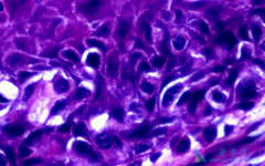 ����Բ��ɫ�����������ò鵽��