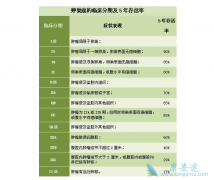 �ѳ���ϸ��������ָ��ʲô���ѳ�������ת����