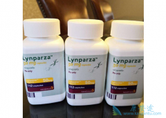 ��������(lynparza)���������һ�������ѳ���