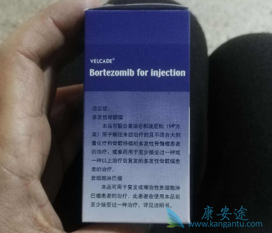 硼替佐米 硼替佐米